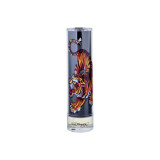 Christian Audigier Ed Hardy Men´s EDT tualetes ūdens vīriešiem, 100 ml