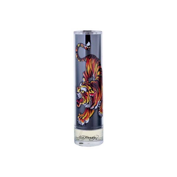 Christian Audigier Ed Hardy Men´s EDT tualetes ūdens vīriešiem, 100 ml