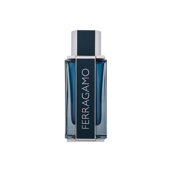 Salvatore Ferragamo Ferragamo Intense Leather EDP parfimērijas ūdens vīriešiem, 100 ml