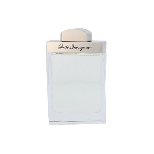 Salvatore Ferragamo Pour Homme EDT tualetes ūdens vīriešiem, 100 ml