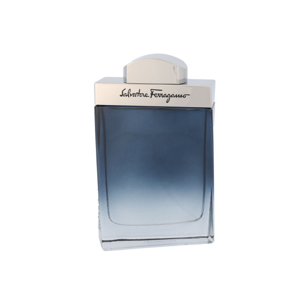 Salvatore Ferragamo Subtil Pour Homme EDT tualetes ūdens vīriešiem, 100 ml