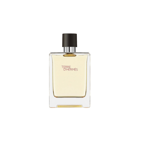 Hermes Terre D'hermes EDT tualetes ūdens ūdens unisex, 100 ml