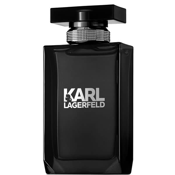 Karl Lagerfeld Pour Homme EDT tualetes ūdens ūdens vīriešiem, 100 ml