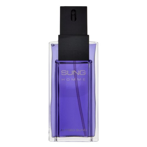 Alfred Sung Sung Homme EDT tualetes ūdens ūdens vīriešiem, 100 ml