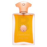 Amouage Overture EDP parfimērijas ūdens vīriešiem, 100 ml