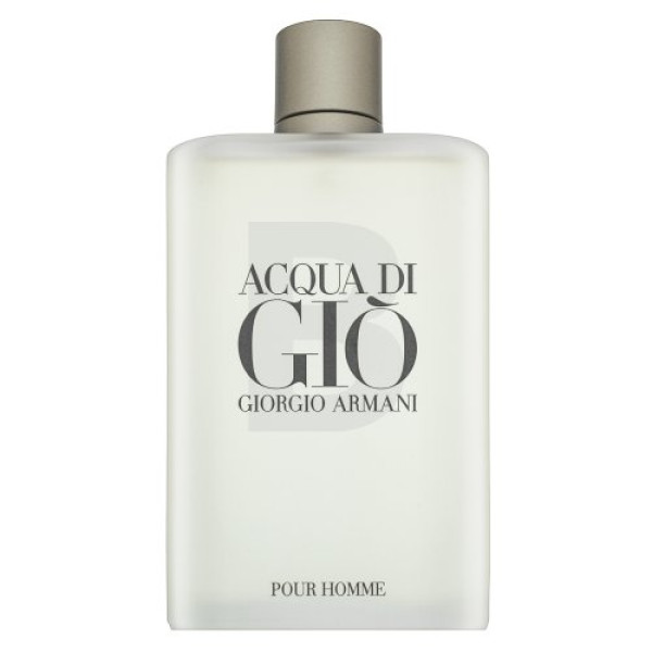 Giorgio Armani Acqua di Gio Pour Homme EDT tualetes ūdens ūdens vīriešiem, 300 ml