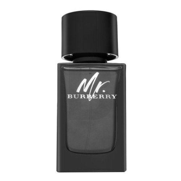 Burberry Mr. Burberry EDP parfimērijas ūdens vīriešiem, 100 ml