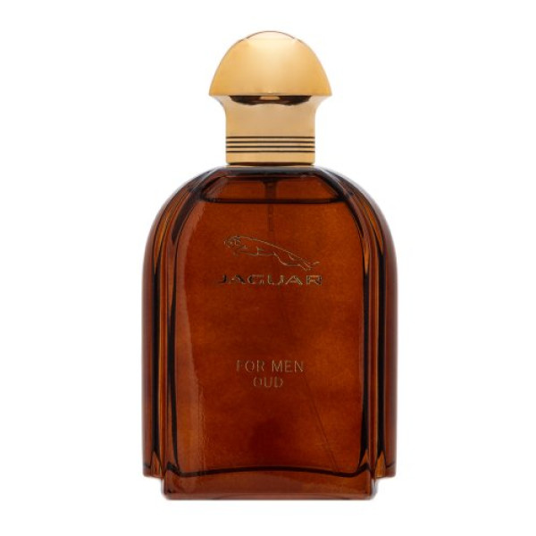 Jaguar Oud For Men EDP parfimērijas ūdens vīriešiem, 100 ml