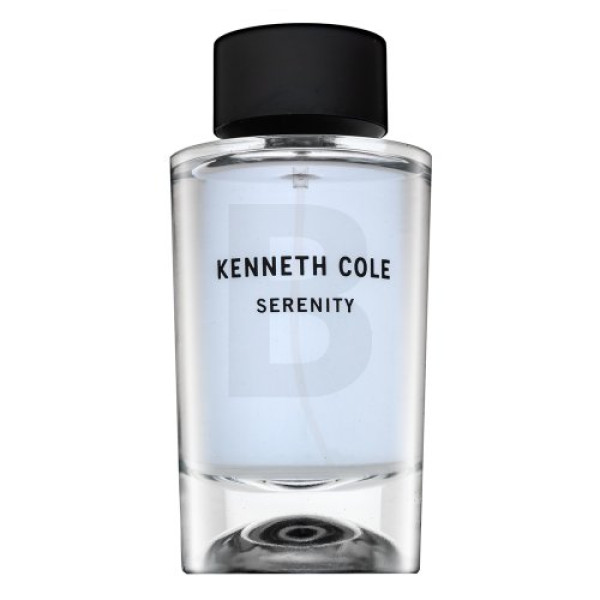 Kenneth Cole Serenity EDT tualetes ūdens ūdens vīriešiem, 100 ml