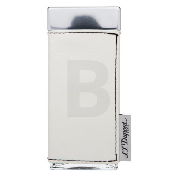 S.T. Dupont Passenger for Women EDP parfimērijas ūdens sievietēm, 100 ml