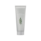 Missha Artemisia Pack Foam Cleanser, 150 ml