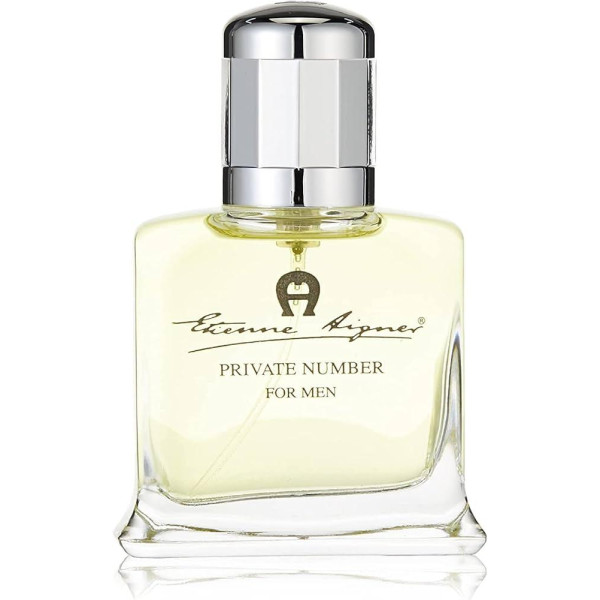 Aigner Private Number EDT tualetes ūdens ūdens vīriešiem, 100 ml