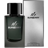 Burberry Mr. Burberry EDP parfimērijas ūdens vīriešiem, 150 ml