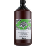 Davines Natural Tech Renewing Shampoo atjaunojošs šampūns, 1000 ml