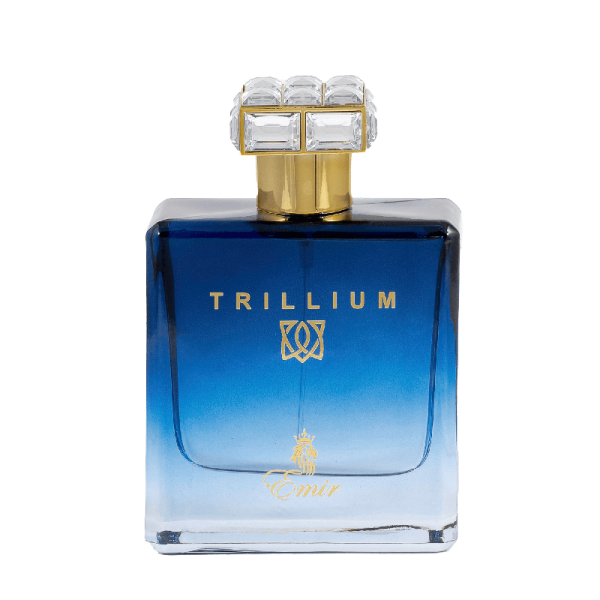 Emir Trillium EDP parfimērijas ūdens vīriešiem, 100 ml