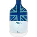 Fcuk Rebel EDT tualetes ūdens ūdens vīriešiem, 100 ml