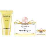 Ferragamo Signorina Libera komplekts sievietēm (EDP, 100 ml + ķermeņa losjons, 50 ml + EDP, 5 ml)