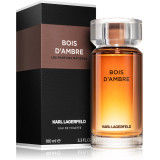 Karl Lagerfeld Bois D'Ambre EDT tualetes ūdens vīriešiem, 100 ml