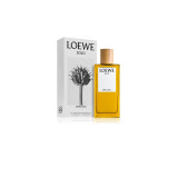 Loewe Solo Mercurio EDP smaržas vīriešiem, 100 ml