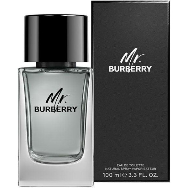 Mr Burberry EDT tualetes ūdens ūdens unisex, 100 ml