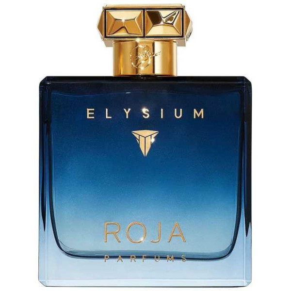 Roja Parfums Elysium Pour Homme EDP parfimērijas ūdens vīriešiem, 100 ml